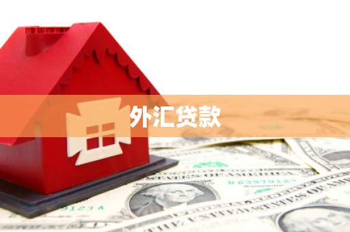 歙县外汇贷款