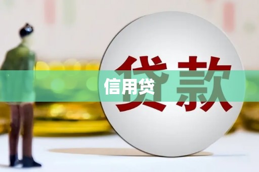 歙县信用贷