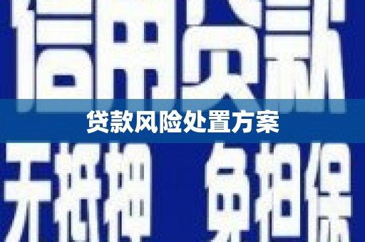歙县贷款风险处置方案